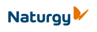 Prácticas de master en empresa Naturgy