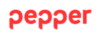 Prácticas master en Pepper