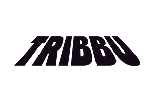 profesor master trabaja en tribbu